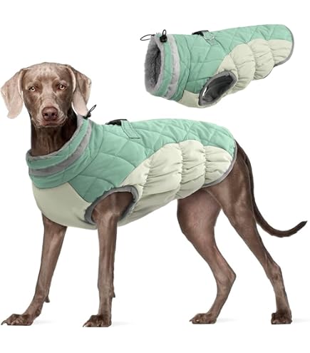 Amazon | Carhartt Firm Duck Dog Chore Coat、寒さと風の強い条件の